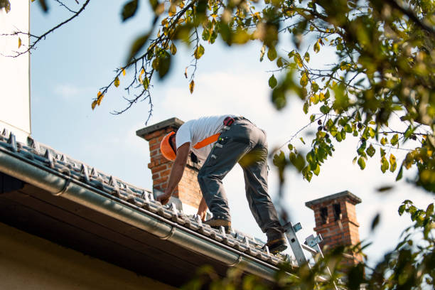 Best Commercial Roof Installation  in Forreston, IL