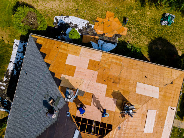 Best Storm Damage Roof Repair  in Forreston, IL