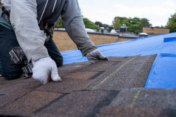 Best Slate Roofing Contractor  in Forreston, IL
