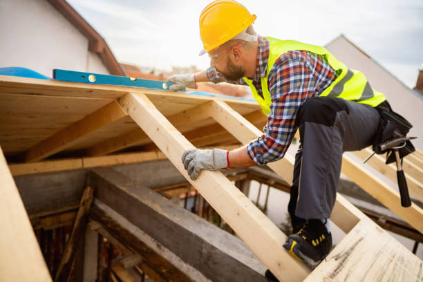 Best Roof Repair Services  in Forreston, IL