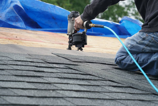 Best New Roof Installation  in Forreston, IL