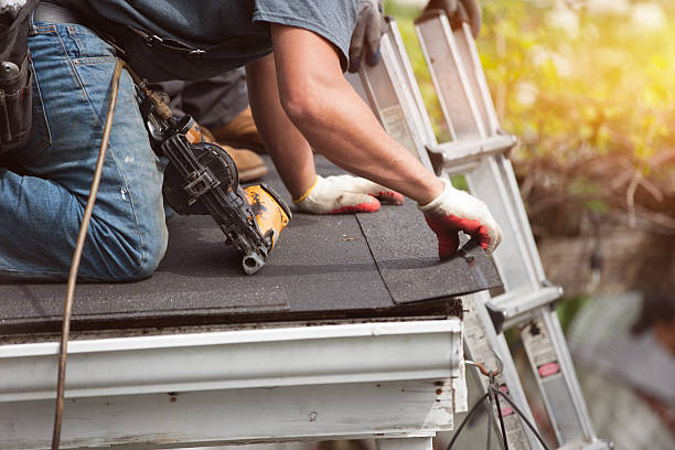 Best Metal Roofing Contractor  in Forreston, IL