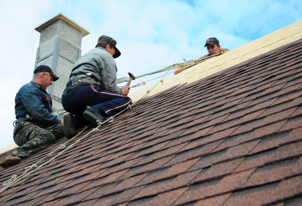 Best Roof Restoration Services  in Forreston, IL