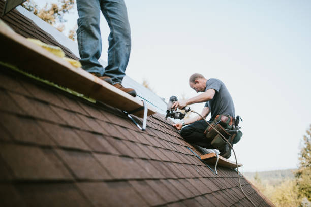 Best Residential Roofing Contractor  in Forreston, IL